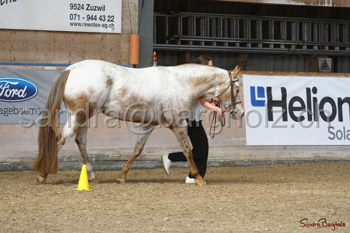 24-ApHC HIH_015.jpg